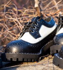 Pantofi Steel 4 Inele Alcapone